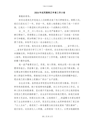 2024年试用期转正申请工作小结