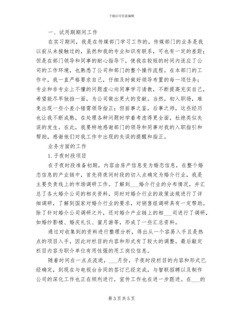 2024年试用期运维中心工作总结_第3页