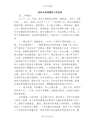 2024年试用期间工作总结