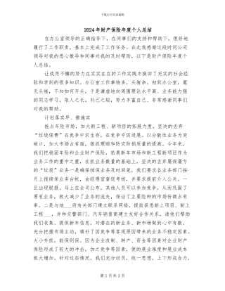 2024年财产保险年度个人总结