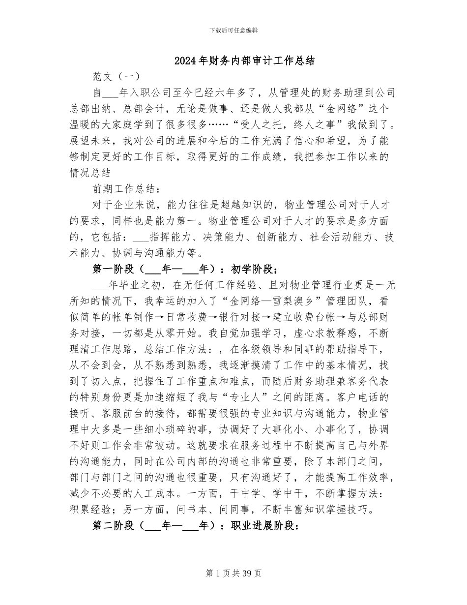 2024年财务内部审计工作总结_第1页