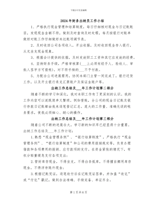 2024年财务出纳员工作小结