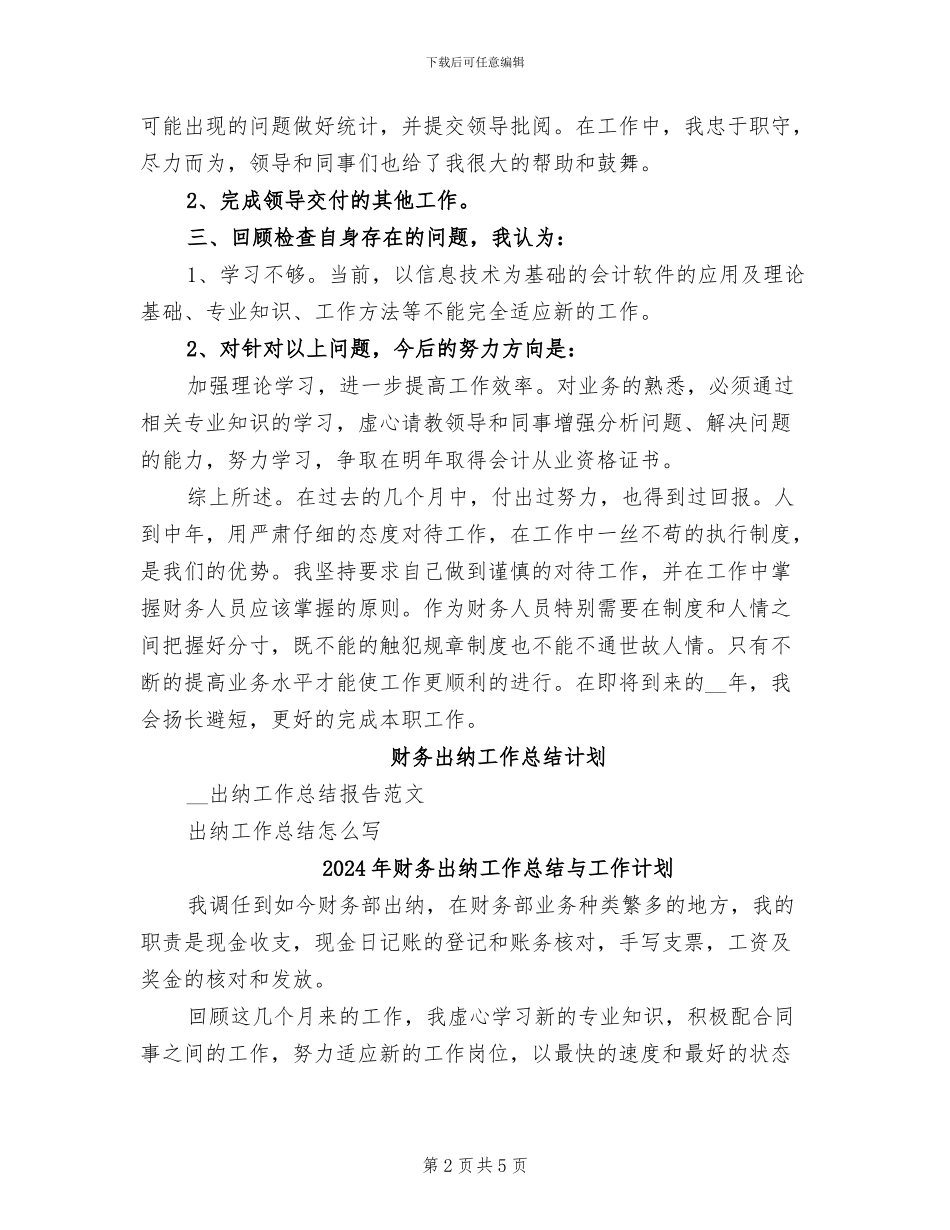 2024年财务出纳工作总结不足之处_第2页