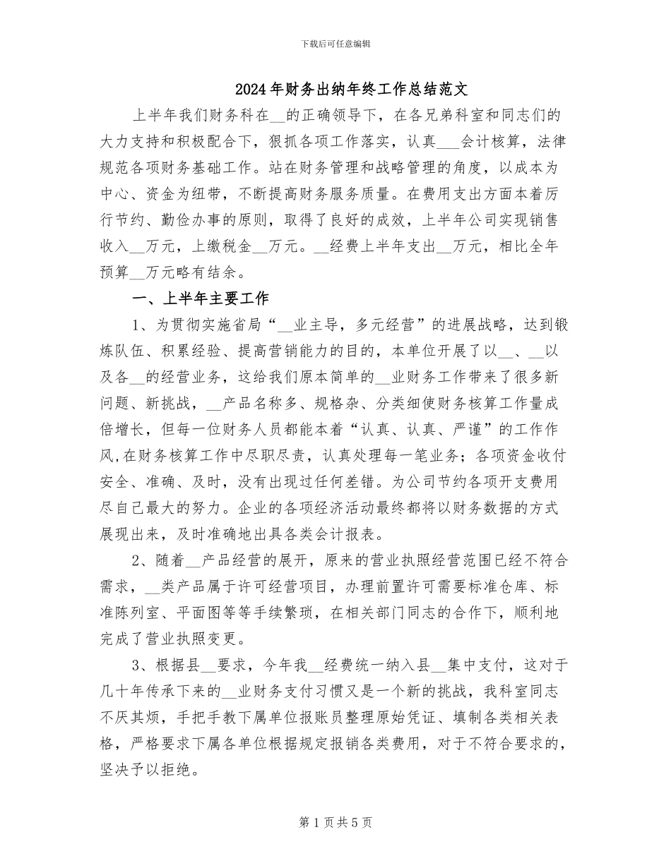 2024年财务出纳年终工作总结范文_第1页