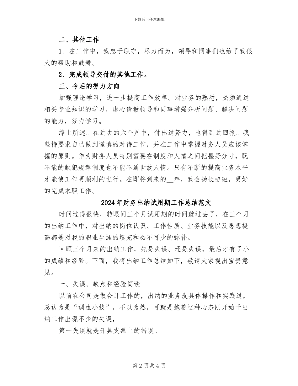 2024年财务出纳试用期工作总结_第2页