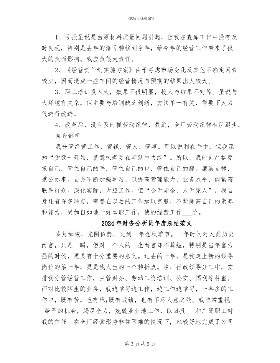 2024年财务分析员年度总结_第3页
