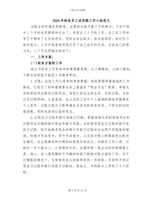 2024年财务员工试用期工作小结范文