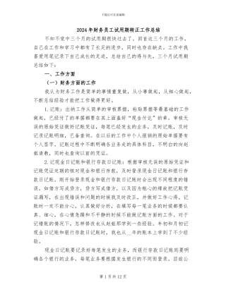 2024年财务员工试用期转正工作总结