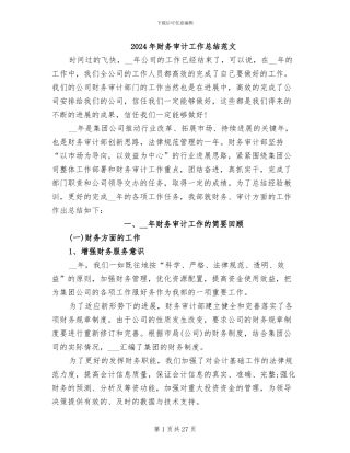 2024年财务审计工作总结范文