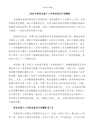 2024年财务总监个人年终总结及计划模板