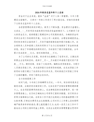 2024年财务总监年终个人总结