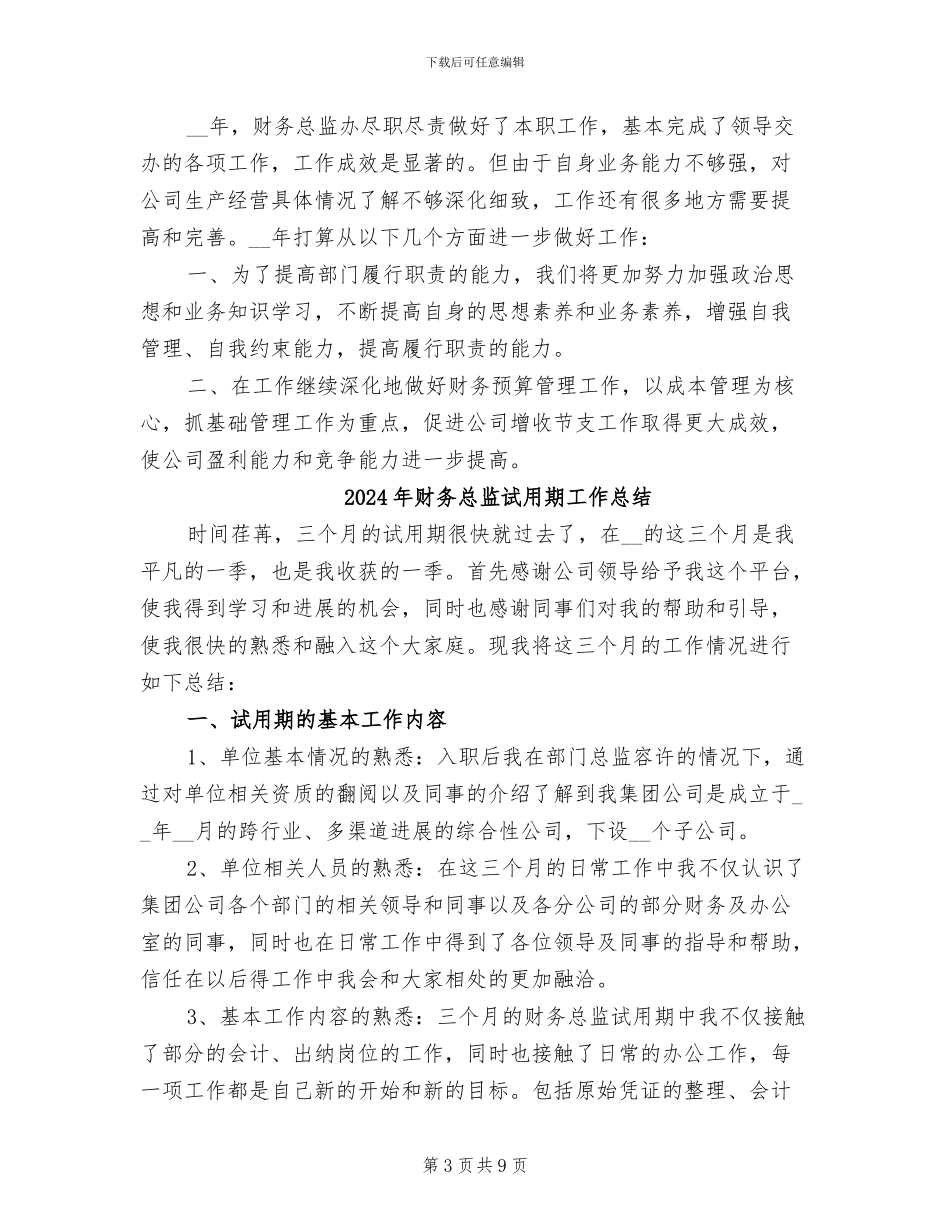 2024年财务总监终总结_第3页