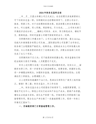 2024年财务总监终总结