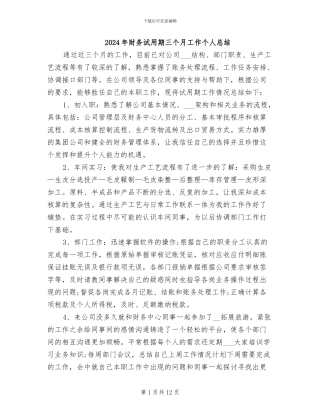 2024年财务试用期三个月工作个人总结