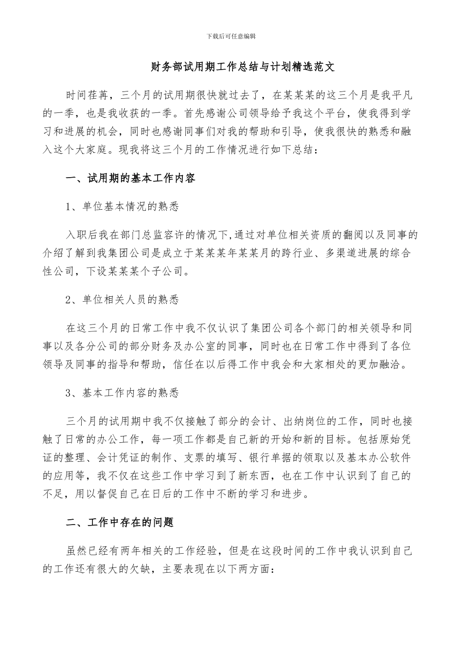 2024年财务部试用期工作总结与计划范文_第2页