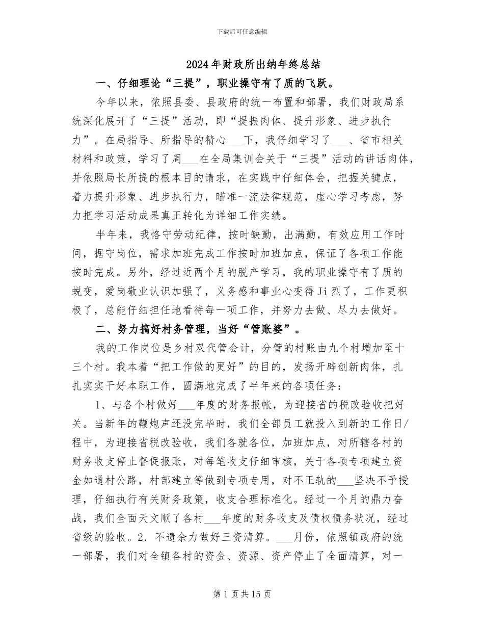 2024年财政所出纳年终总结_第1页