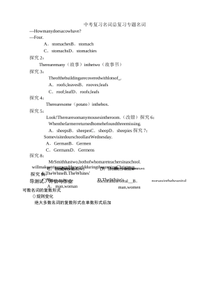 最新中考复习名词总复习专题名词
