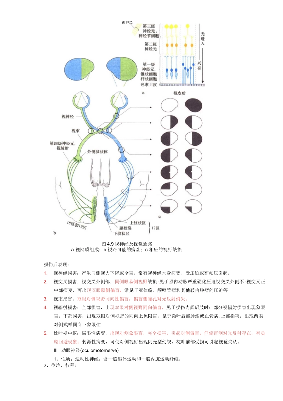 十二对脑神经_第2页