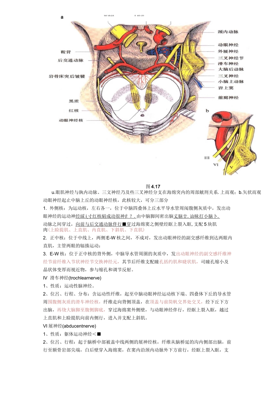 十二对脑神经_第3页