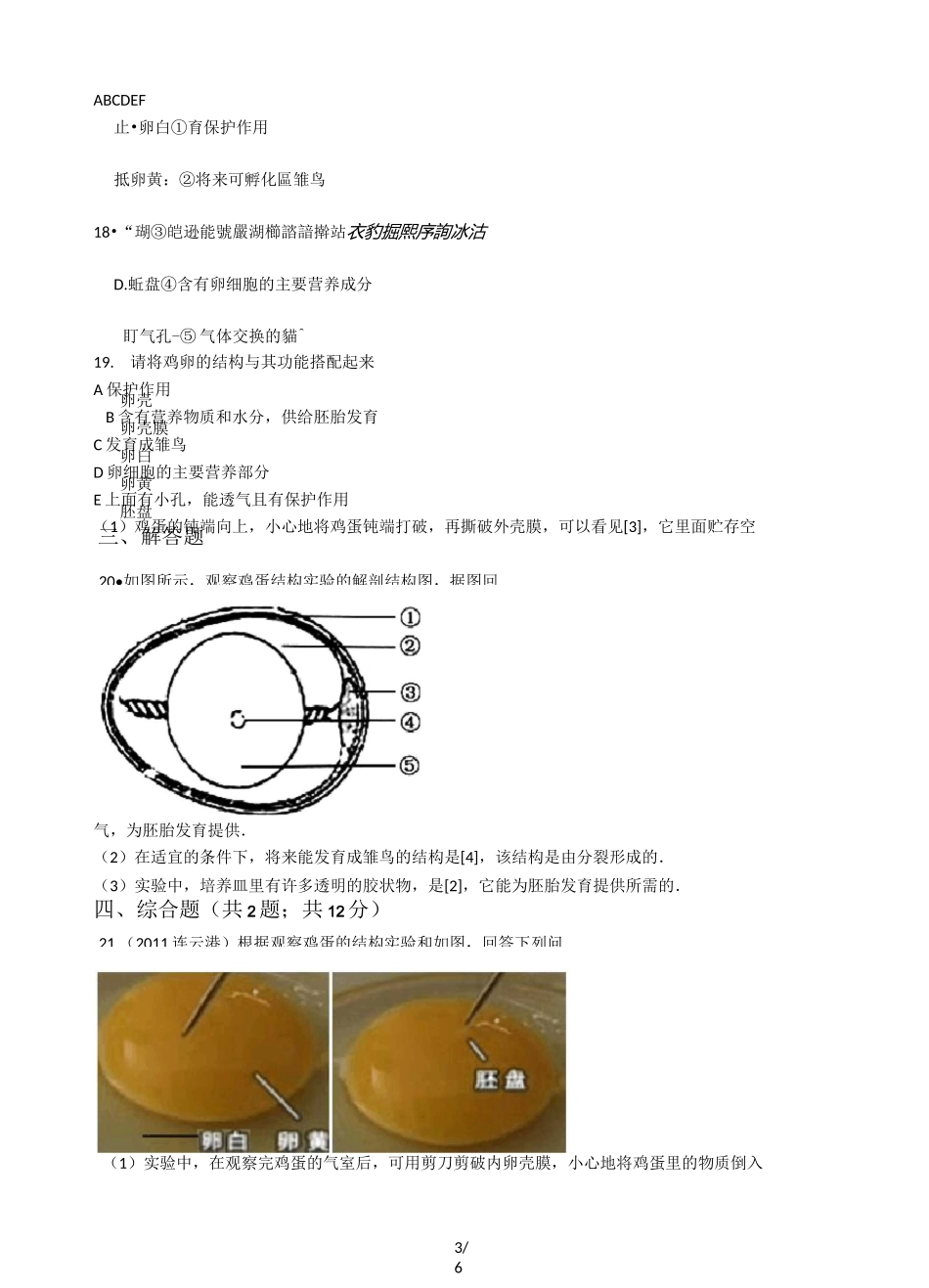 苏教版八年级下册生物 21.5鸟类的生殖和发育 练习题_第3页