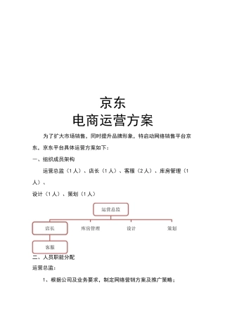 京东电商运营方案