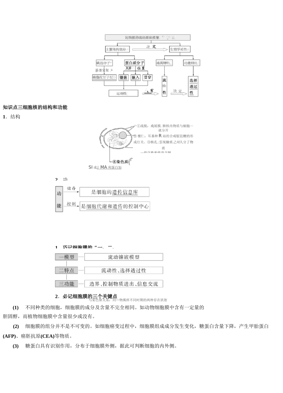 细胞膜与细胞核_第2页