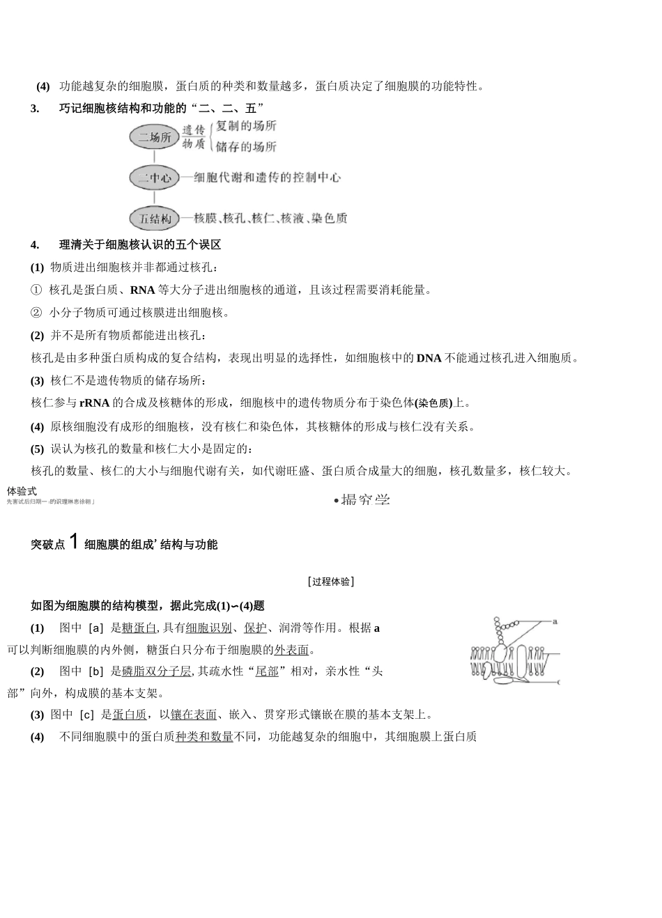 细胞膜与细胞核_第3页