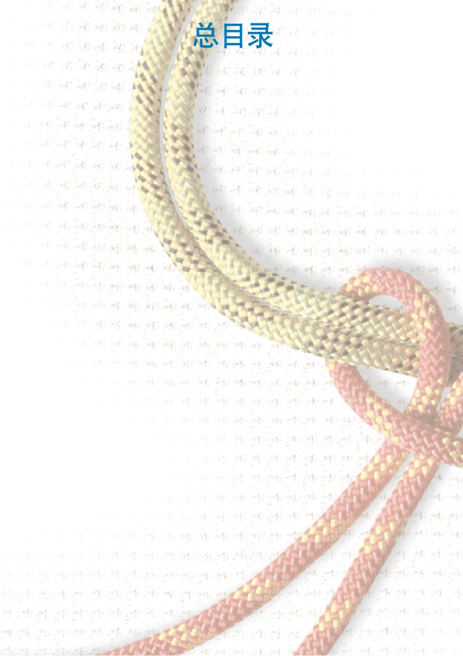 中压配电Evolis真空断路器用与开关柜厂产品目录_第2页