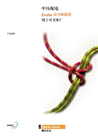 中压配电Evolis真空断路器用与开关柜厂产品目录