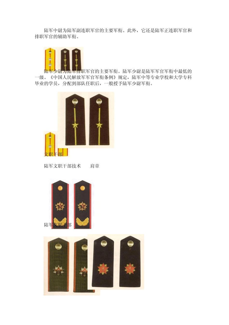 中国三军军衔肩章,让我们学习一下_第3页