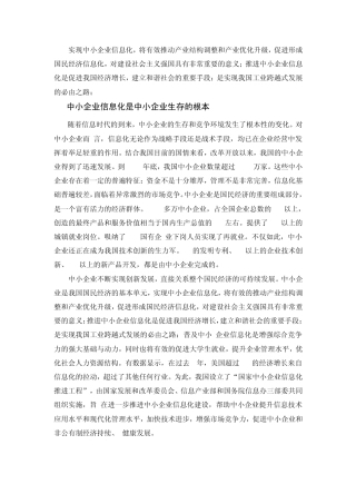 中国中小企业信息化现状及前景透析