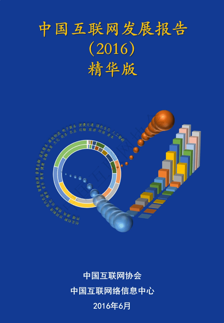 中国互联网发展报告(2016)精华版_第1页