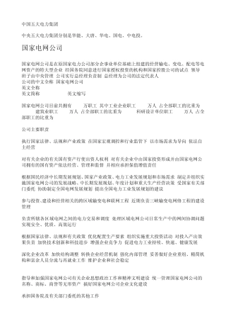 中国五大电网公司