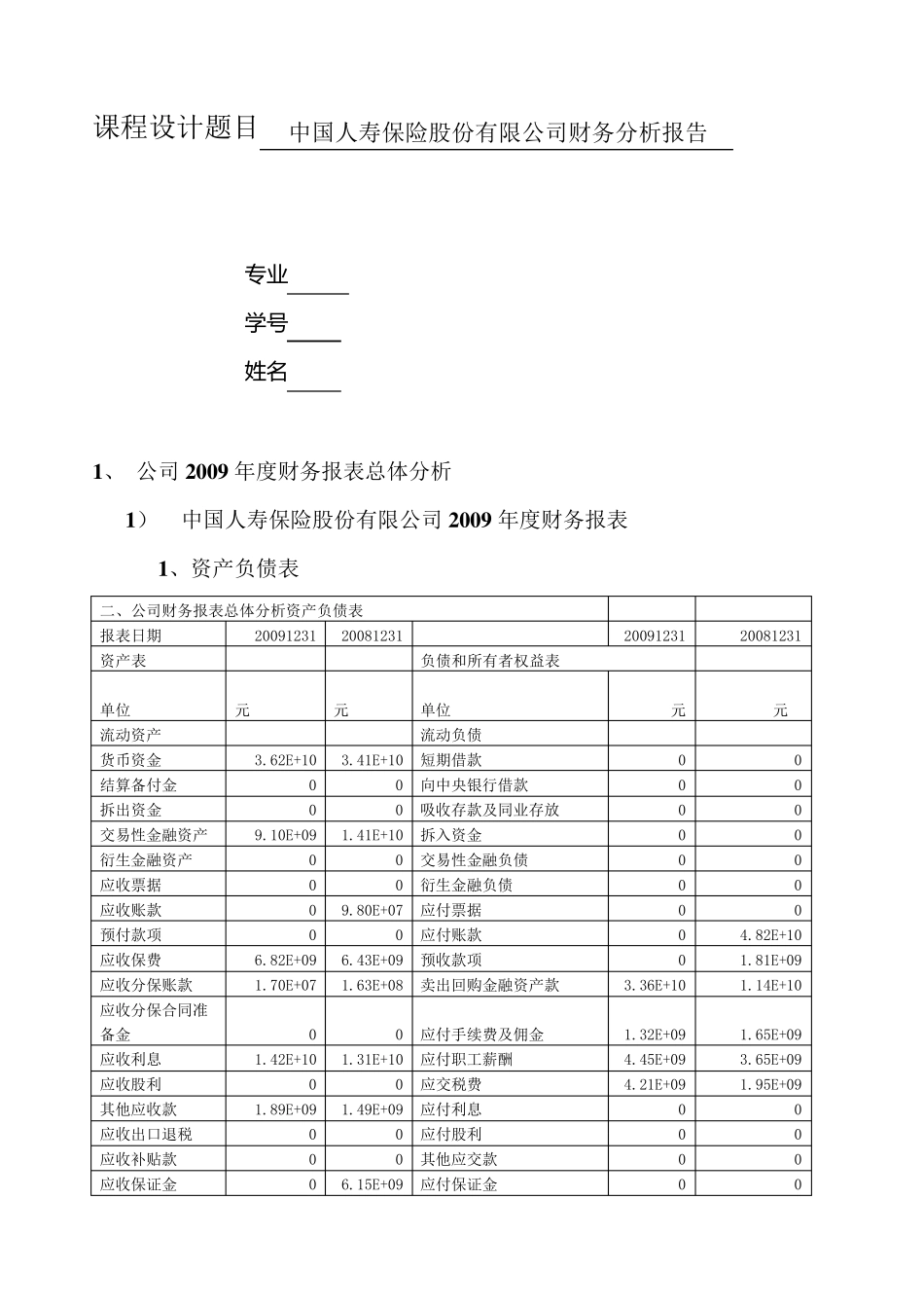 中国人寿财务分析报告_第1页