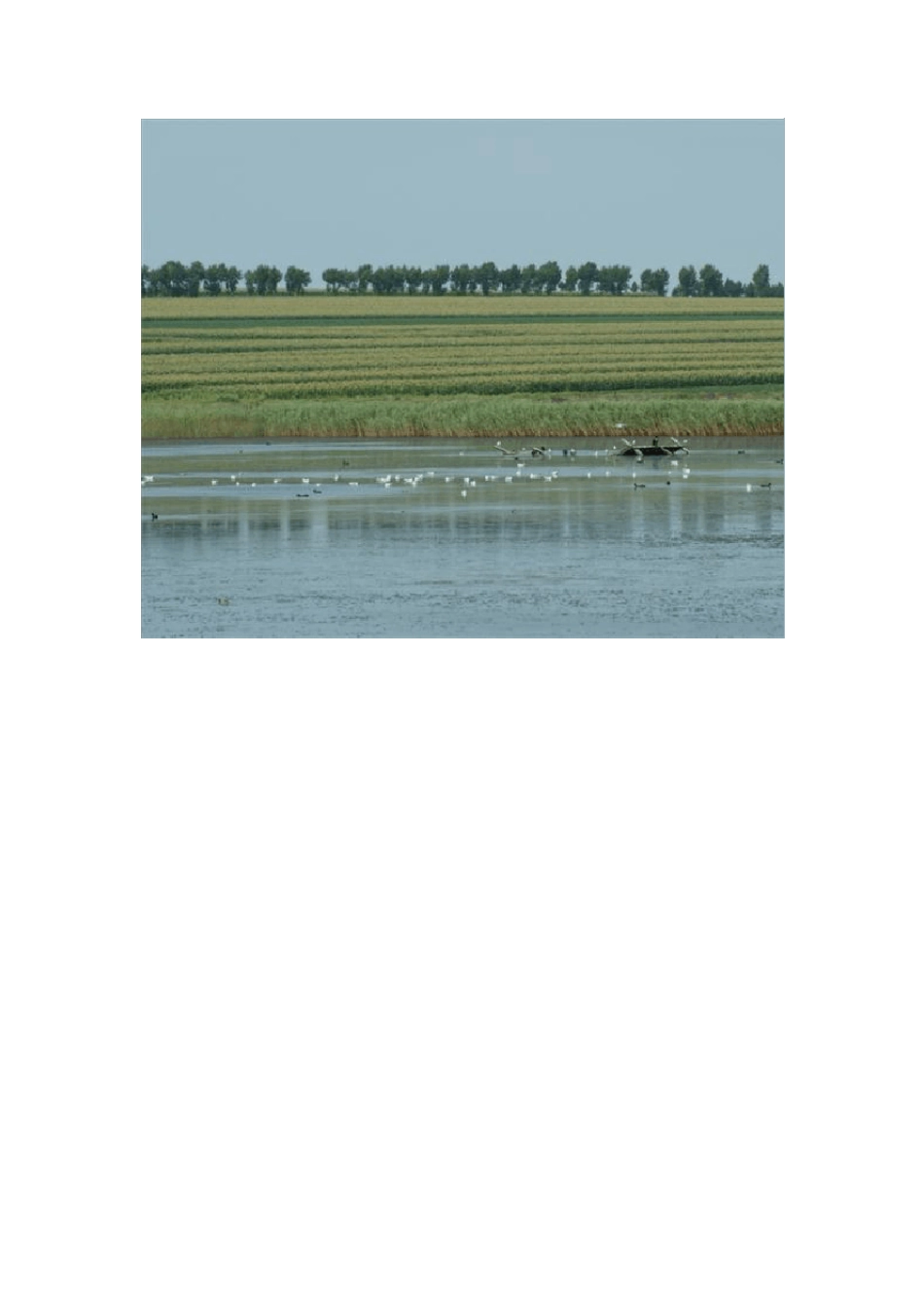 中国人少好玩的31个地方_第3页