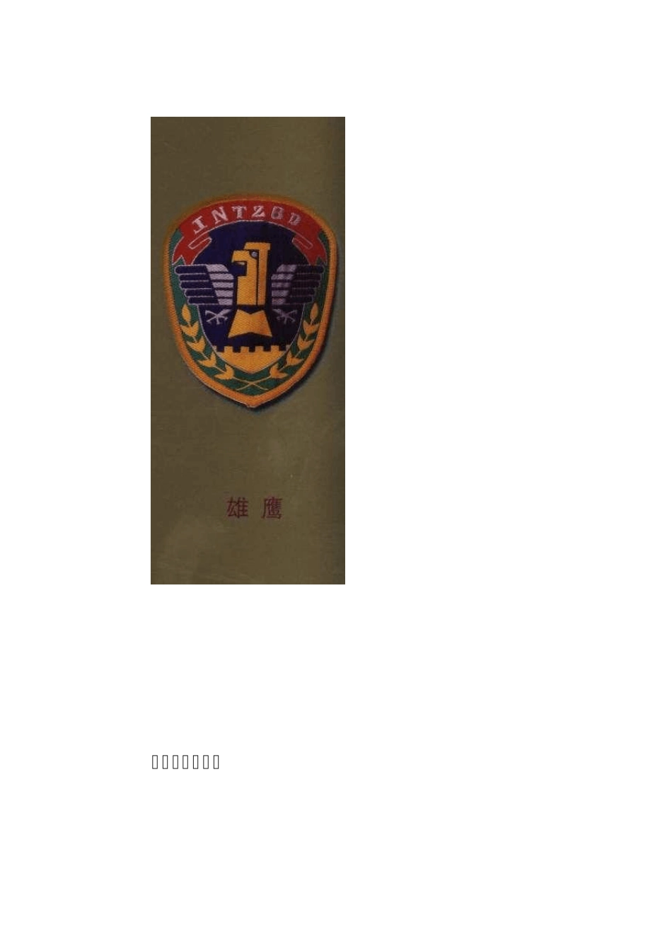 中国八大特种兵标志_第3页