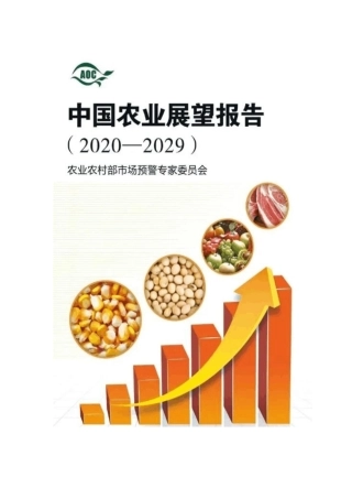 中国农业展望报告20202029