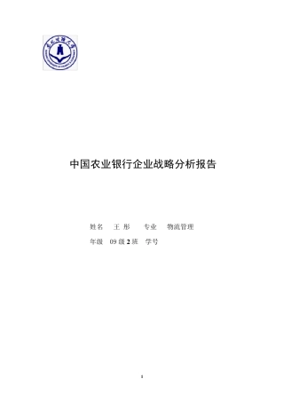 中国农业银行企业战略分析报告