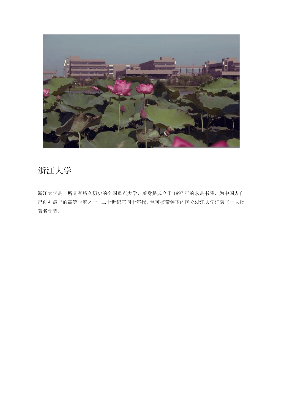 中国前20名一流大学校园风景图集_第3页