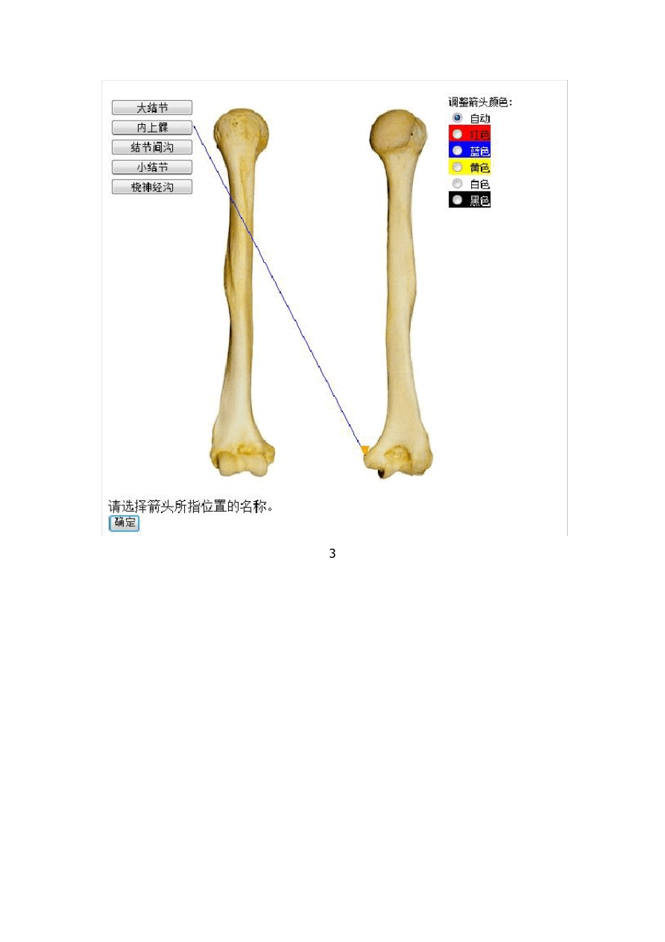 中国医科大学《系统解剖学(本科)》实践考试题答案_第3页