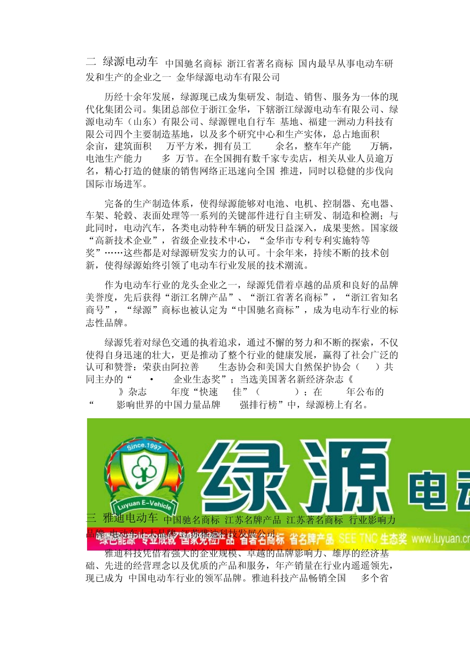 中国十大电动车品牌_第2页