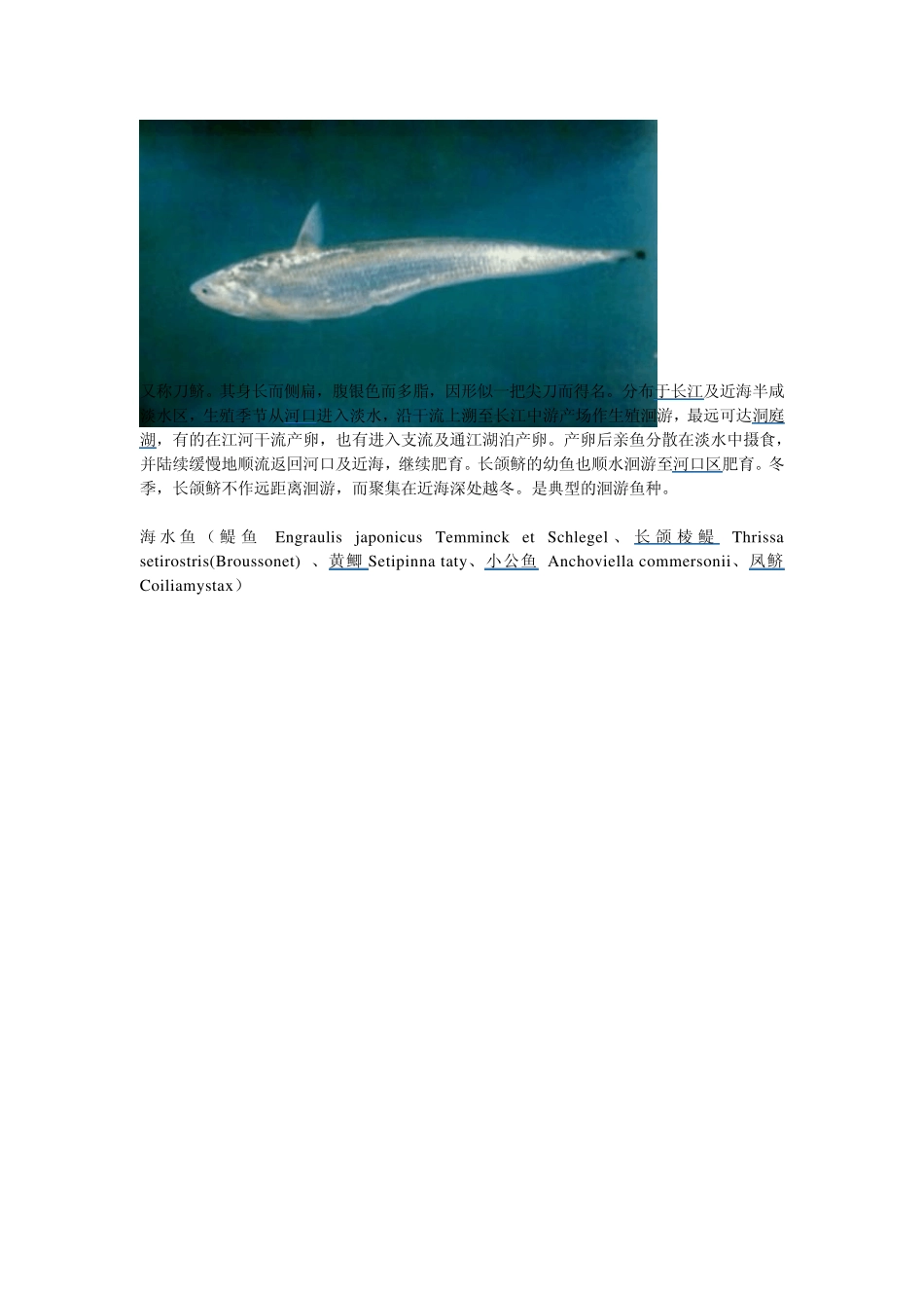 中国原生鱼种_第2页
