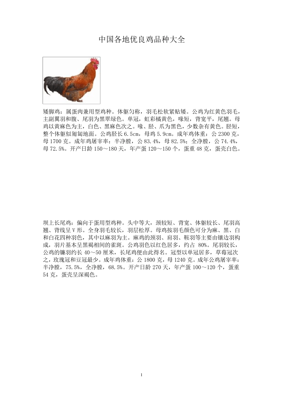 中国各地优良鸡品种大全_第1页