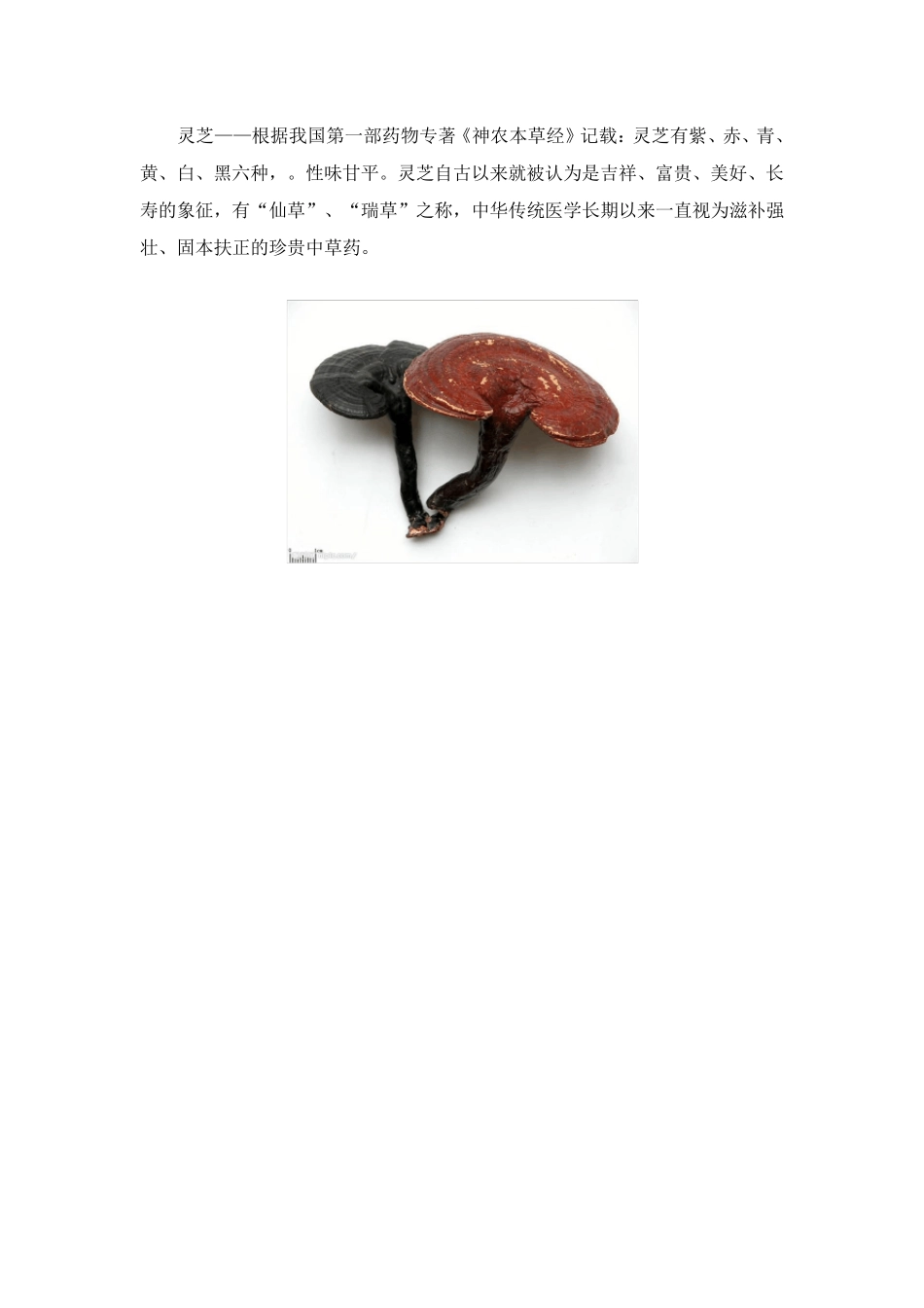 中国名贵药材一览(附图)_第2页