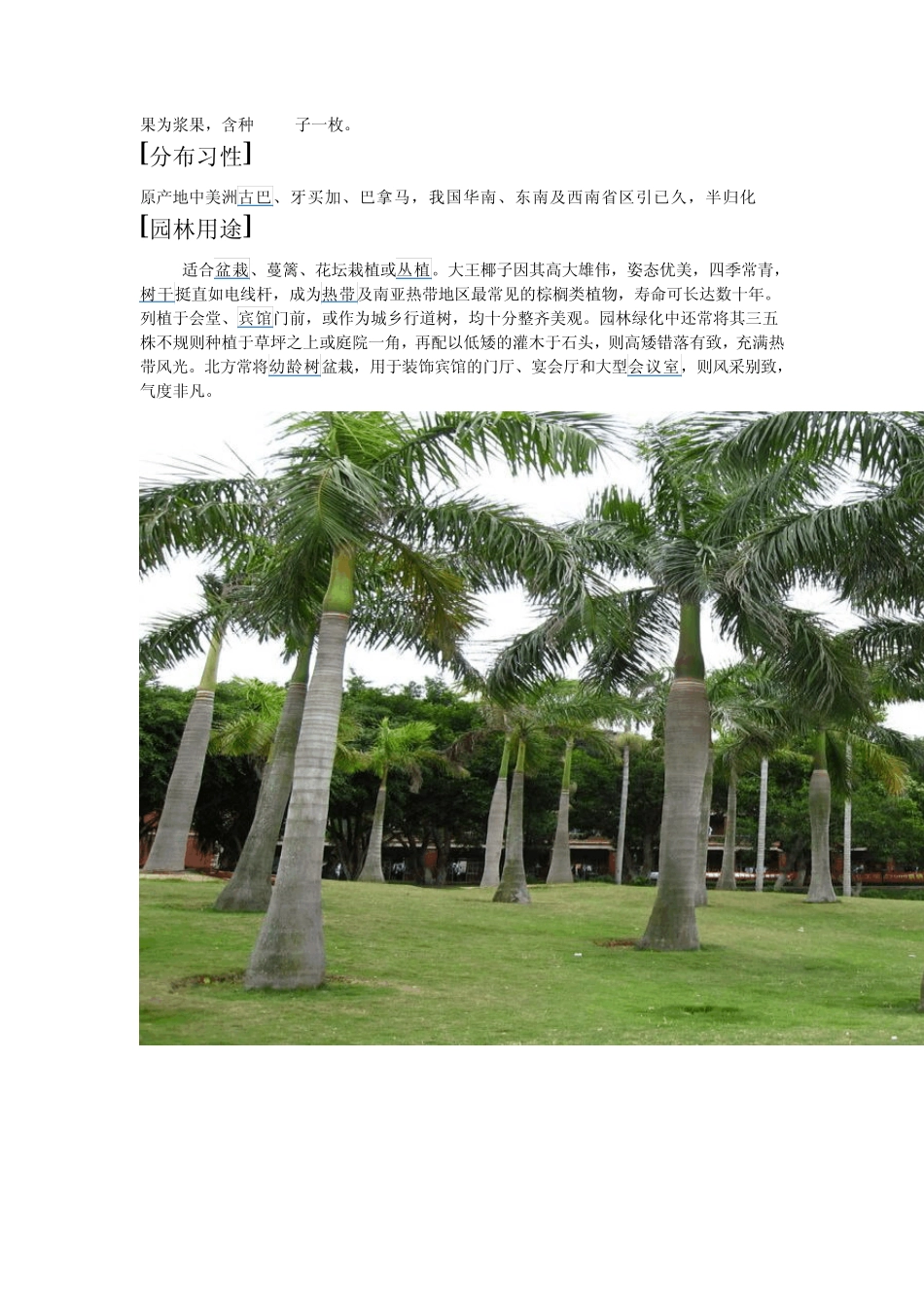 中国园林植物彩色应用图谱乔木卷_第2页