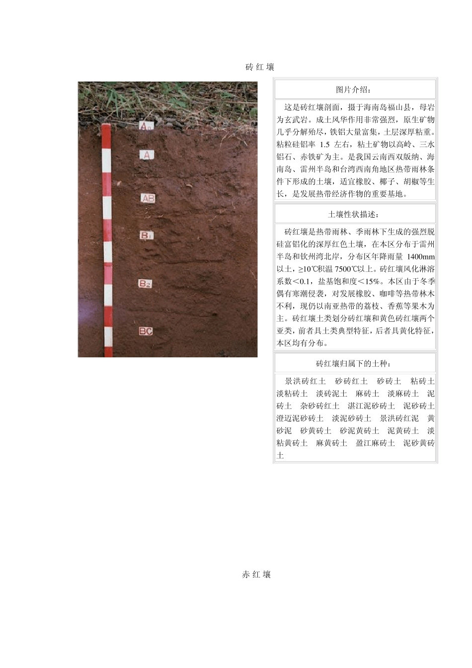 中国土壤类型_第1页