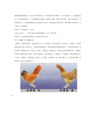中国土鸡品种