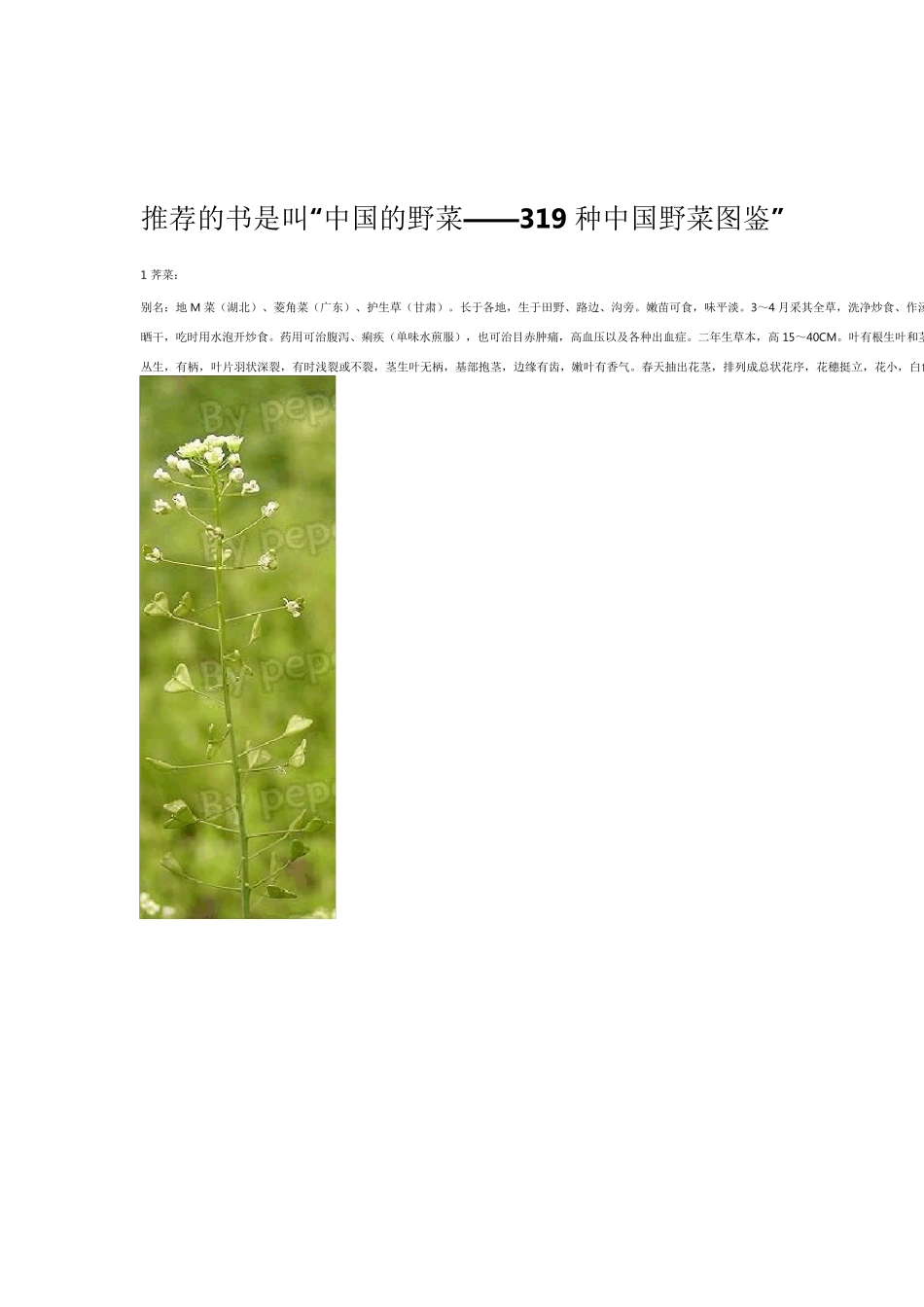 中国常见可食野生植物图谱_第1页