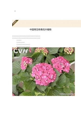 中国常见有毒花卉