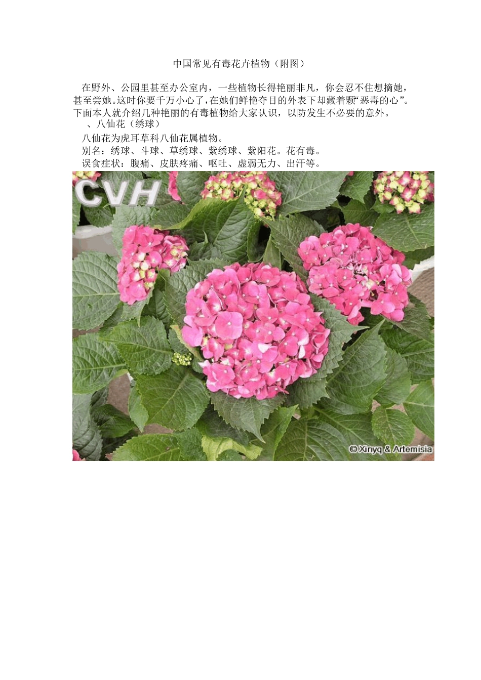 中国常见有毒花卉植物(附图)_第1页